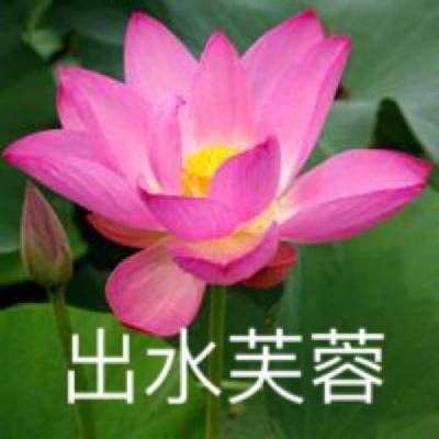 乱斗天骄3D游戏下载